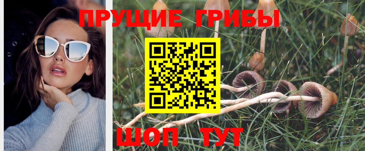 Луховицы  где купить наркоту  Вход с VPN  Псилоцибиновые грибы Magic Shrooms 