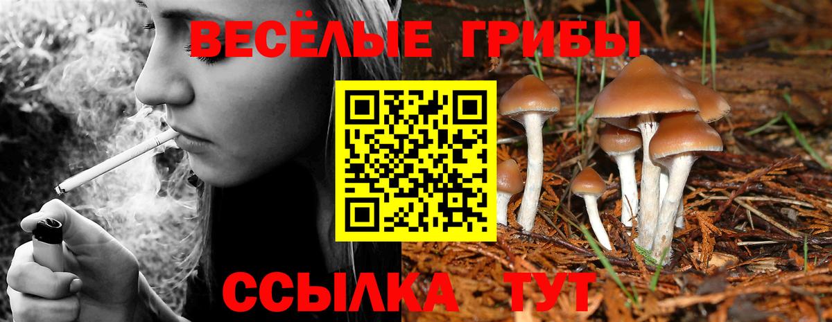 Экстази  КОКАИН  Где купить  Бошки Шишки  Меф МЯУ МЯУ   Вход с VPN  ГАШИШ  Луховицы  Метамфетамин 